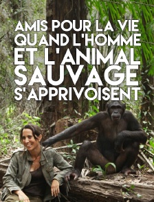 Amis pour la vie : quand l'homme et l'animal sauvage s'apprivoisent