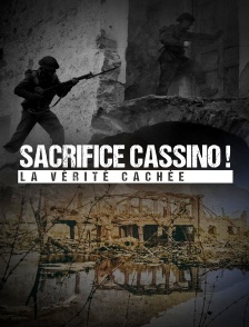 Sacrifice Cassino ! La vérité cachée