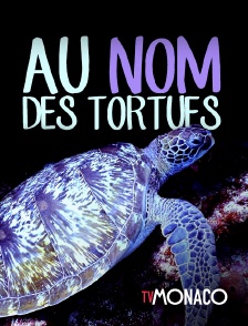 TV Monaco - Au nom des tortues