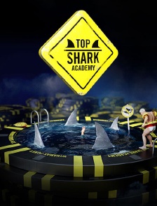 Top Shark Academy