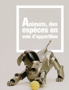 Animats, des espèces en voie d'apparition