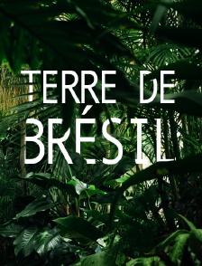 Terre de Brésil