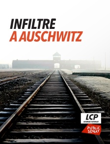 Infiltré à Auschwitz