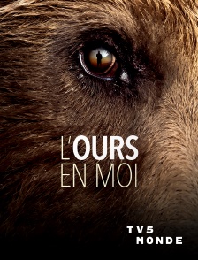 TV5MONDE - L'ours en moi