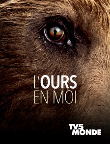 TV5MONDE - L'ours en moi