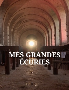 Mes grandes écuries