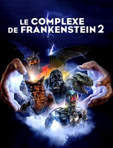 Le complexe de Frankenstein 2