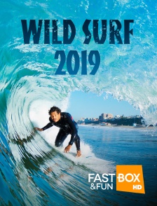 Wild Surf 2019