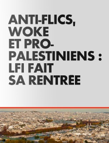 Anti-flics, woke et pro-palestiniens : LFI fait sa rentrée