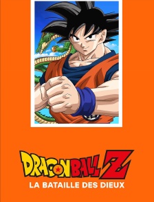 Dragon ball Z : La bataille des dieux