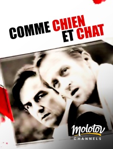 Molotov Channels - Comme chien et chat