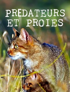 Prédateurs et proies