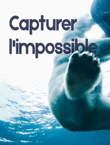 Capturer l'impossible