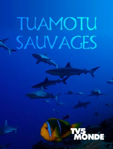 TV5MONDE - Tuamotu sauvages