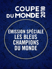 Emission spéciale : Les Bleus champions du monde