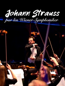 Johann Strauss par les Wiener Symphoniker au Teatro Rossetti de Trieste