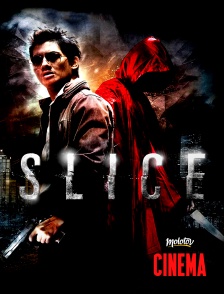 Slice