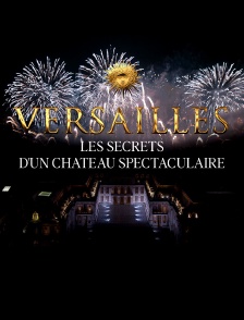 Versailles, les secrets d'un château spectaculaire