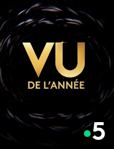 France 5 - Vu de l'année