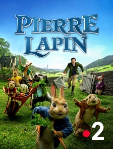 France 2 - Pierre Lapin