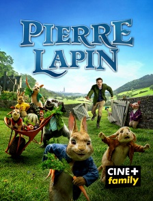 Pierre Lapin