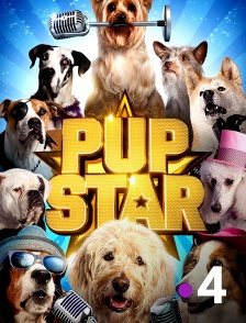 France 4 - Pup Star