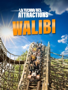 Walibi : la techno des attractions