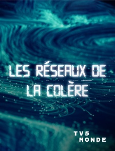 TV5MONDE - Les réseaux de la colère