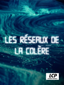 LCP 100% - Les réseaux de la colère