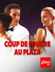 Coup de foudre au Plaza