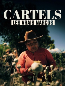 Les vrais narcos