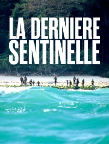 La dernière sentinelle