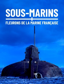 Sous-marins, fleurons de la marine française