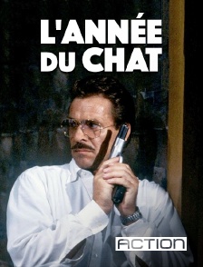 ACTION - L'année du chat