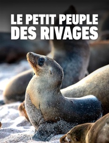 Le petit peuple des rivages