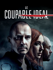 Le coupable idéal