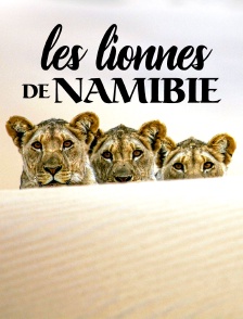 Les lionnes de Namibie : Reines de la côte des Squelettes