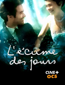 CINÉ Cinéma - L'écume des jours en replay