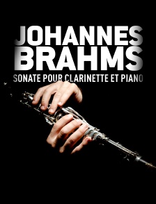 Johannes Brahms : sonate pour clarinette et piano op 120 n° 2 : allegro amabile
