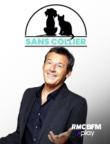 Sans collier