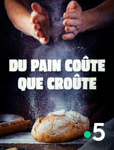 France 5 - Du pain coûte que croûte en replay