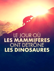 Le jour où les mammifères ont détrôné les dinosaures