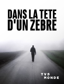 TV5MONDE - Dans la tête d'un zèbre