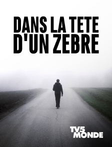 TV5MONDE - Dans la tête d'un zèbre