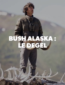 Bush Alaska
