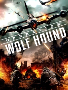 Opération Wolf Hound