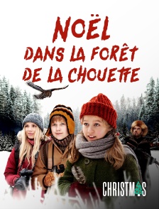 CHRISTMAS by Molotov - Noël dans la forêt de la chouette