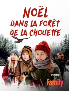 Noël dans la forêt de la chouette