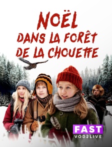 Molotov Channels TEST FAST - Noël dans la forêt de la chouette