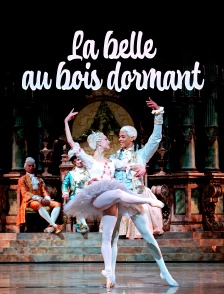 La Belle au bois dormant